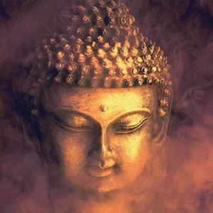 Meet your Posher, Bimal